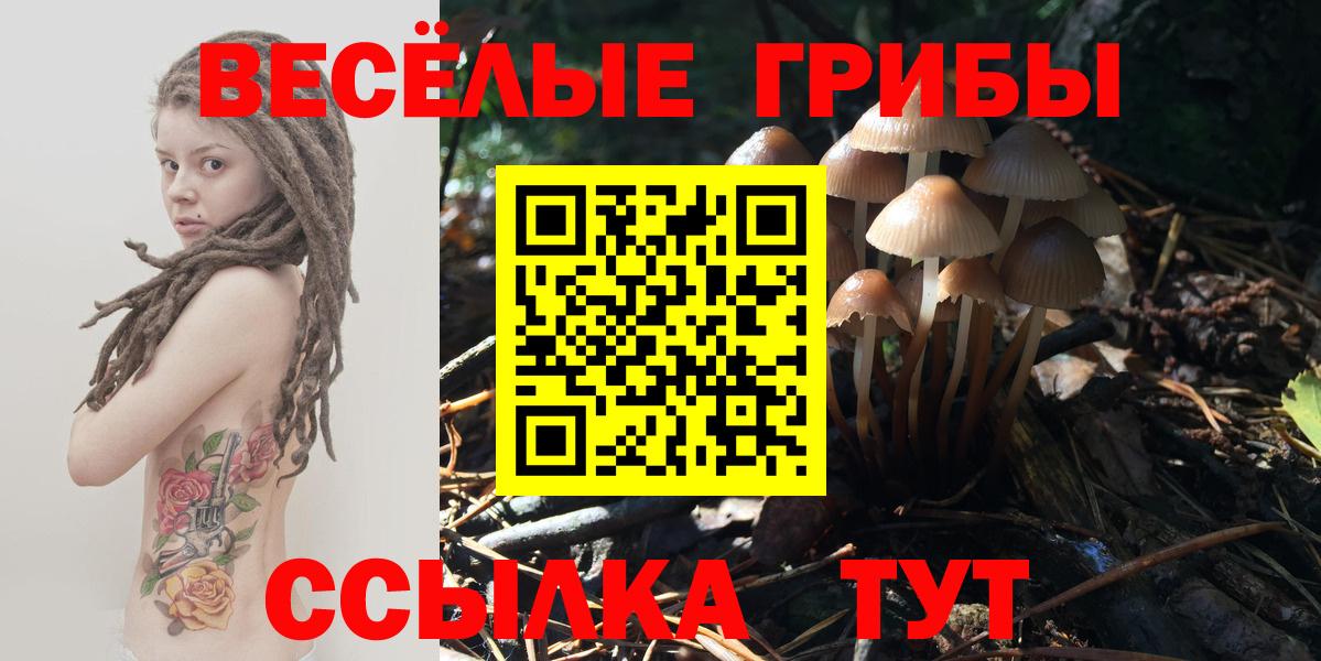 Псилоцибиновые грибы Cubensis Киров